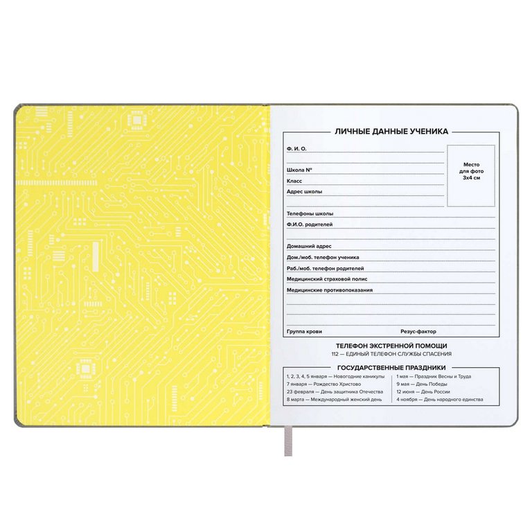 Дневник школьный твердая обложка, кожзам, блинтовое тиснение "МЕТАРЕАЛЬНОСТЬ" 48л. цв. серый