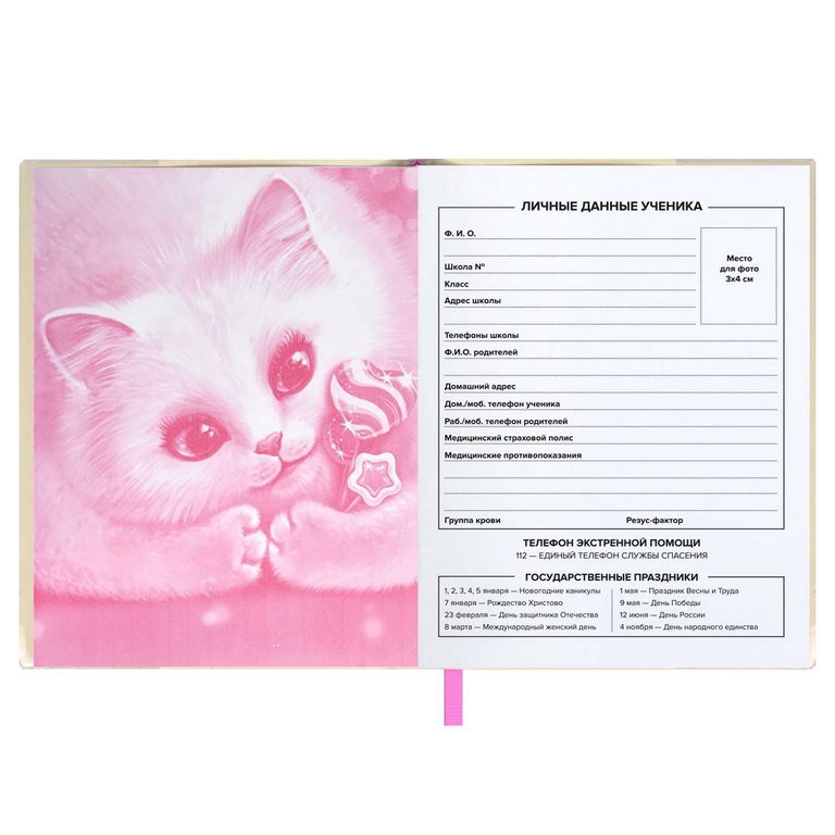 Дневник школьный мягкая съёмная обложка "КОТЫ" 48л