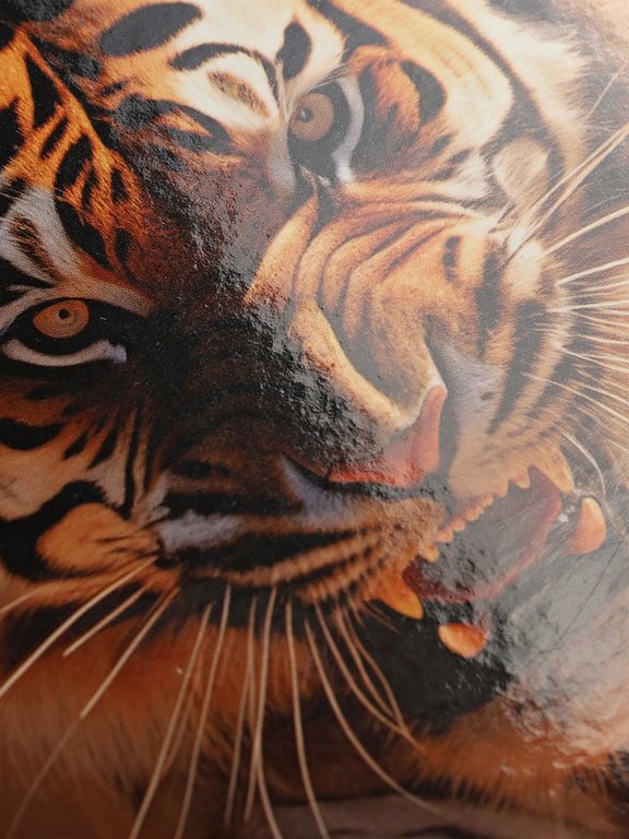 Тетрадь 120 лист кл. А4 на кольцах "ТИГР В ПУСТЫНЕ" тв. обл. Проф-Пресс