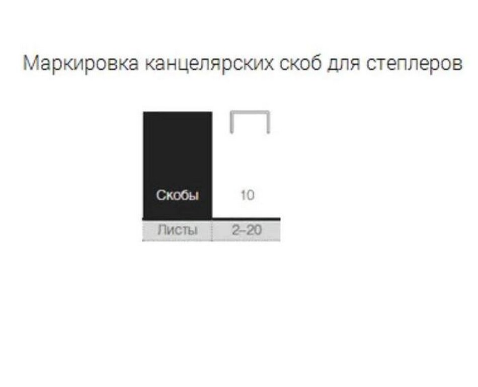 Скобы №10 Erich Krause 1000 шт/уп, оцинкованные, до 20 листов