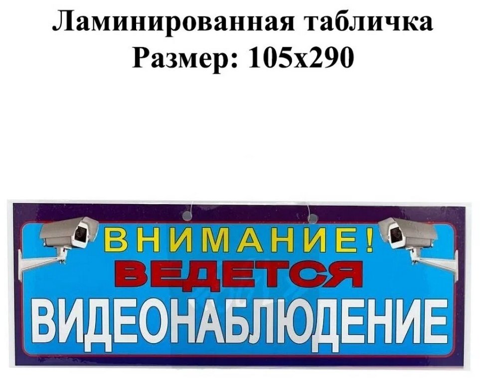 Знак информационный "Ведется видеонаблюдение" 1/2 А4