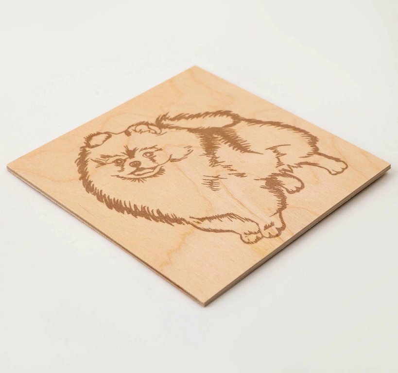 Выжигание "Любимые питомцы" 15*15 см, 7+ Фантазер (2 панно с рисунком)