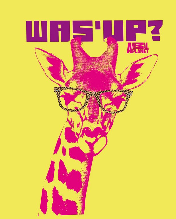 Тетрадь 48 лист кл. А5 на спирали "Поп арт" обл. УФ двойной