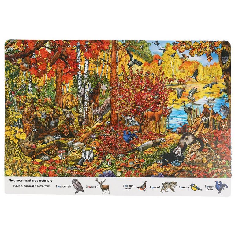 Книга детская Найди и покажи "Времена года" ( А4, 12 стр, картон, 700 картинок)  УМка