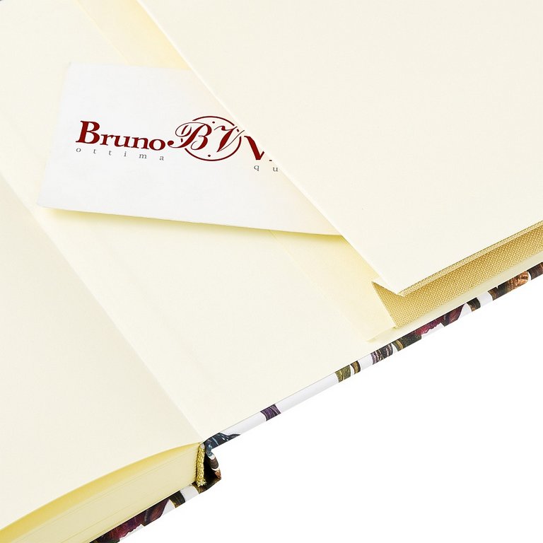 Скетчбук 213*146 мм, 100л.,тв. обл. на ризинке, бежевый блок "Flora. Ирисы"