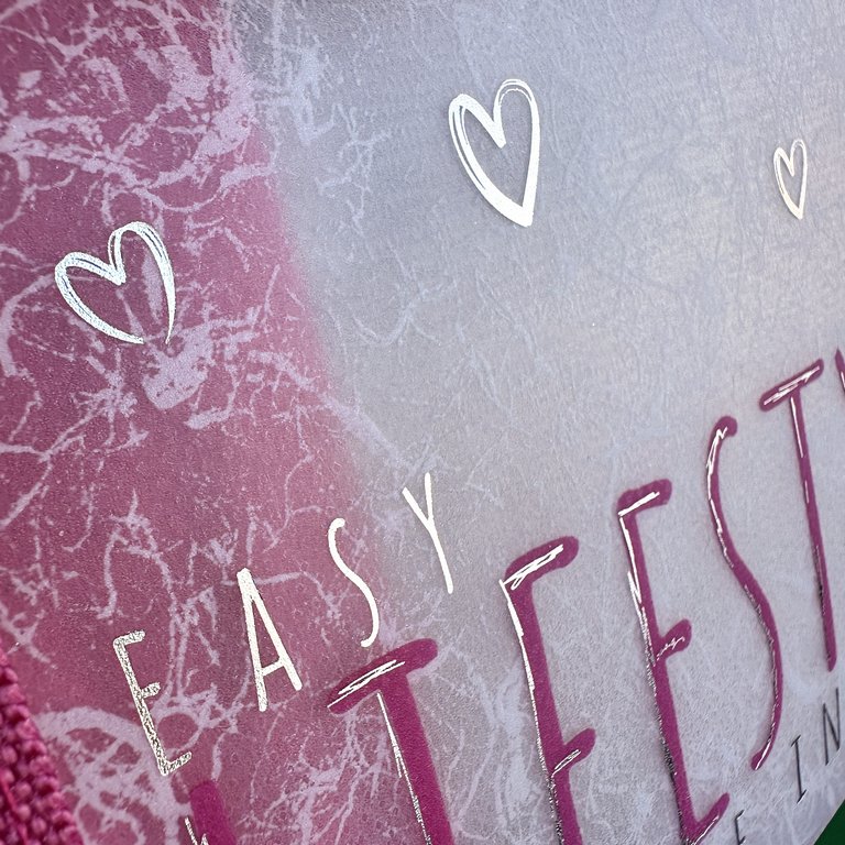 Папка для тетрадей А4 на кнопке BrunoVisconti "Easy life. Mainecoon" с текстильной окантовкой