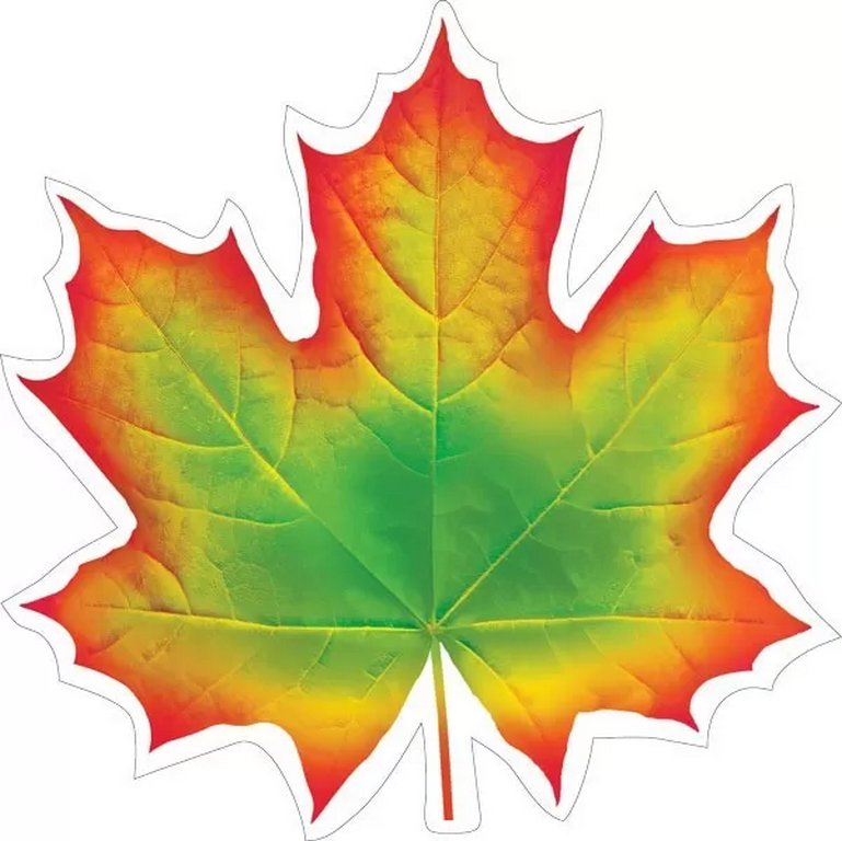 Наклейка оформительская на скотче осенняя 150*150мм "Кленовый лист" красно-зеленый