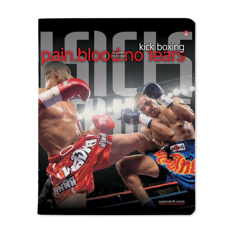 Тетрадь 48 лист кл. А5 на скрепке "БОЕВЫЕ ИСКУССТВА"