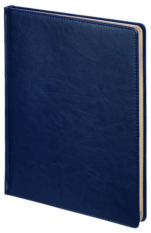 Ежедневник без дат А4, 210*297 мм Альт "SIDNEY NEBRASKA" синий, золотой срез