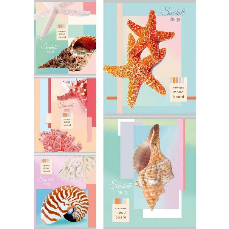 Тетрадь 48 лист кл. А5 на скрепке Collezione "РАКУШКИ СО ДНА"  цвет. мелов. обл.