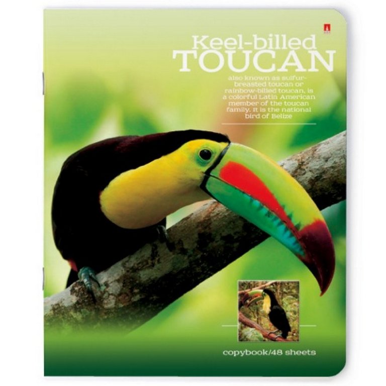 Тетрадь 48 лист кл. А5 на скрепке "РАЙСКИЕ ПТИЦЫ"