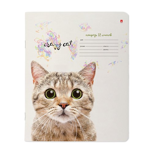 Тетрадь 12 лист кл. А5 "УДИВИТЕЛЬНЫЕ КОТЯТА"