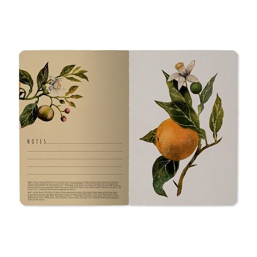 Тетрадь 32 лист лин. А6 на сшивке "FLORA.АПЕЛЬСИНЫ"