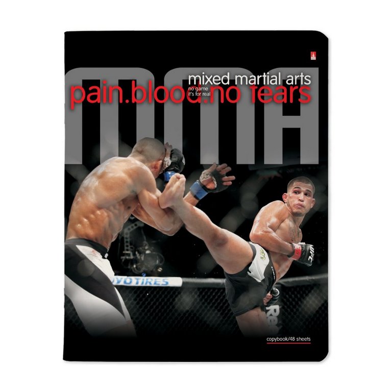 Тетрадь 48 лист кл. А5 на скрепке "БОЕВЫЕ ИСКУССТВА"