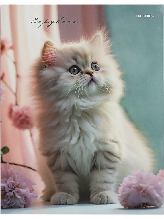 Тетрадь 80 лист кл. А5+ на кольцах "СВЕТЛЫЙ КОТЕНОК" тв. обл. Проф-Пресс