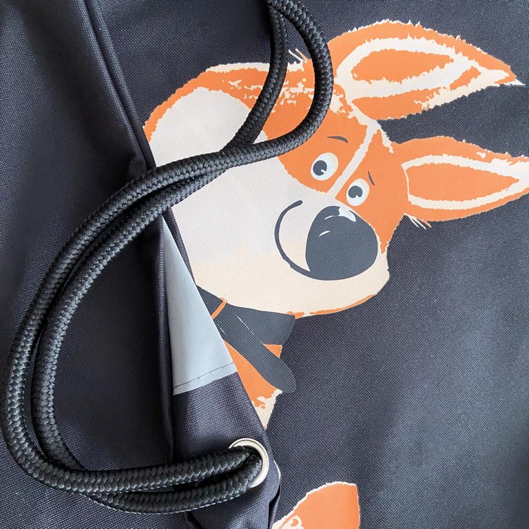 Сумка для обуви для девочки 54*44 см BrunoVisconti "ЗАБАВНЫЙ КОРГИ" черный