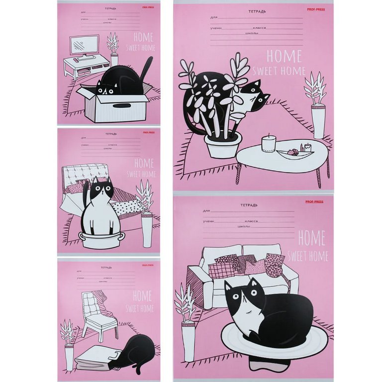 Тетрадь 18 лист лин. А5 Prof-Press "КОТЫ НА РОЗОВОМ" 5 видов, мелов. обл.