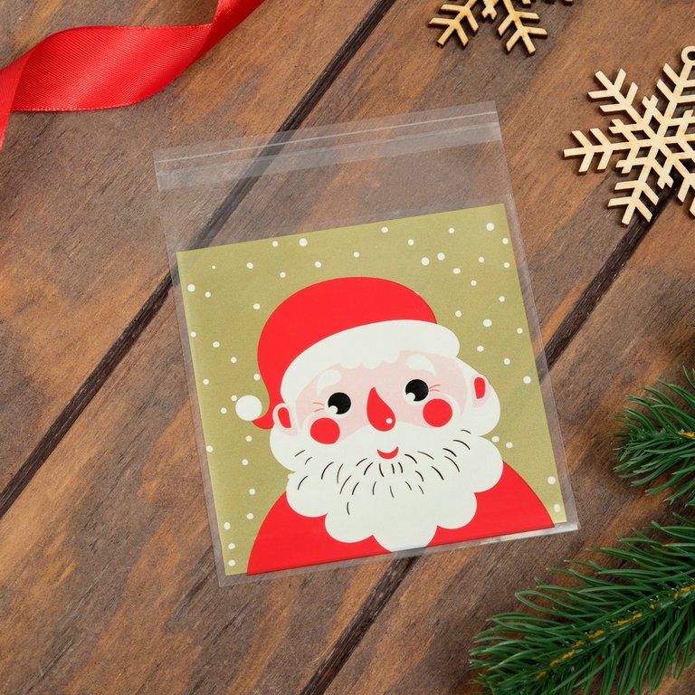 Пакет с липкой лентой "Портрет" 10*11см