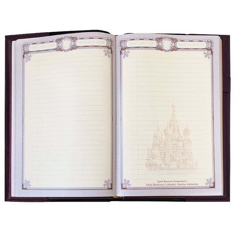 Ежедневник без дат 162*223 мм Макей съемная обложка из нат.кожи "Bubbles" баклажан