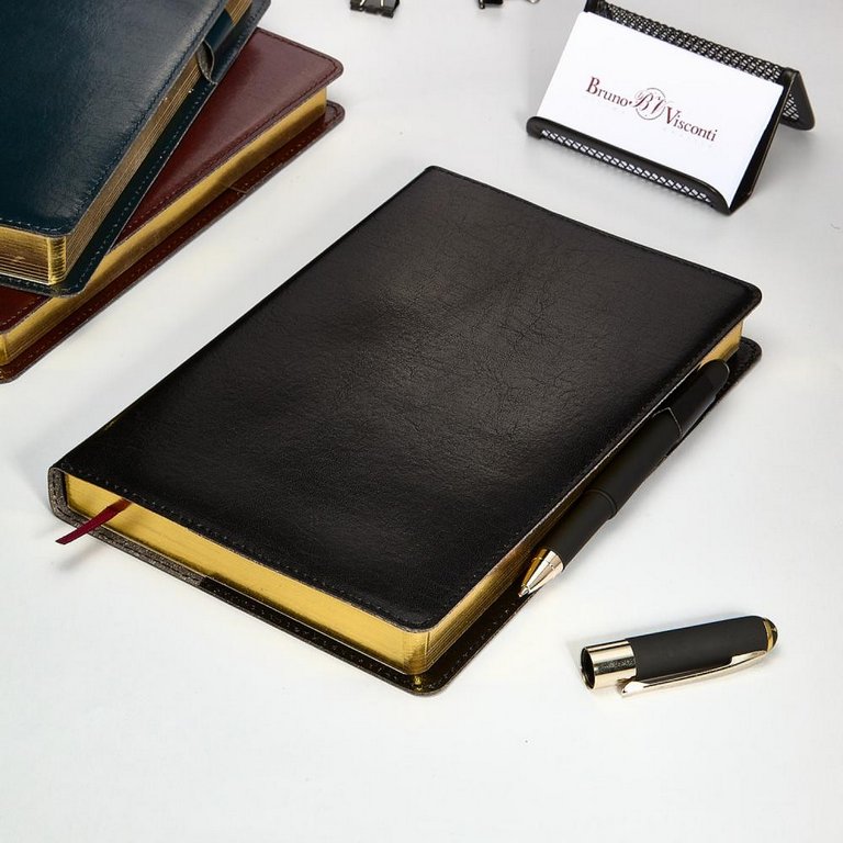 Ежедневник полудат. 148*210 мм Bruno Visconti "Profy", со сменным блоком, черный