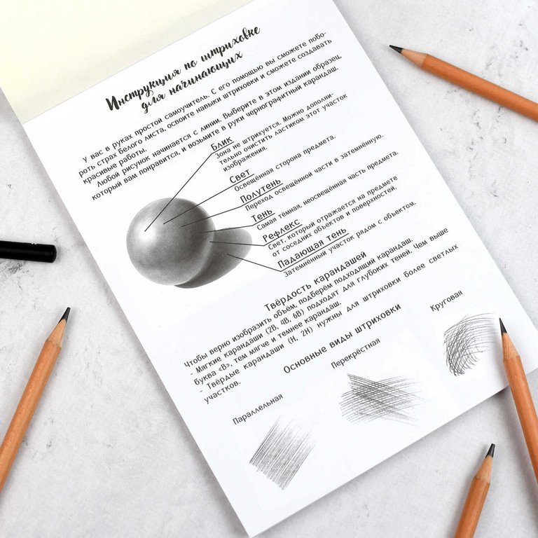 Раскраска А5 "Мои скетчи. Животные"  32 стр Феникс+