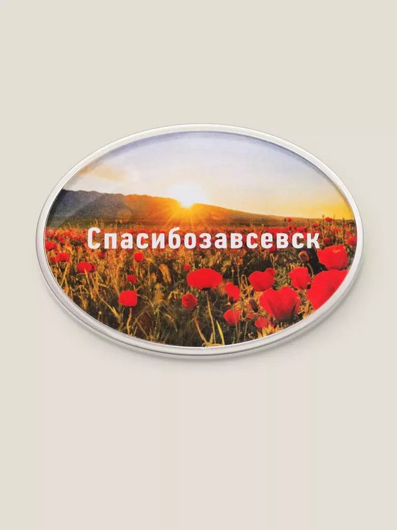 Магнит "Спасибозавсевск" Бюро находок