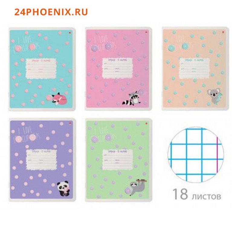 Тетрадь 18 лист кл. А5 "LOLLIPOP" 5 ВИДОВ
