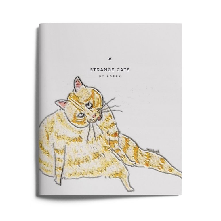 Тетрадь 48 лист кл. А5 на скрепке "STRIKING CATS" LOREX 5 видов
