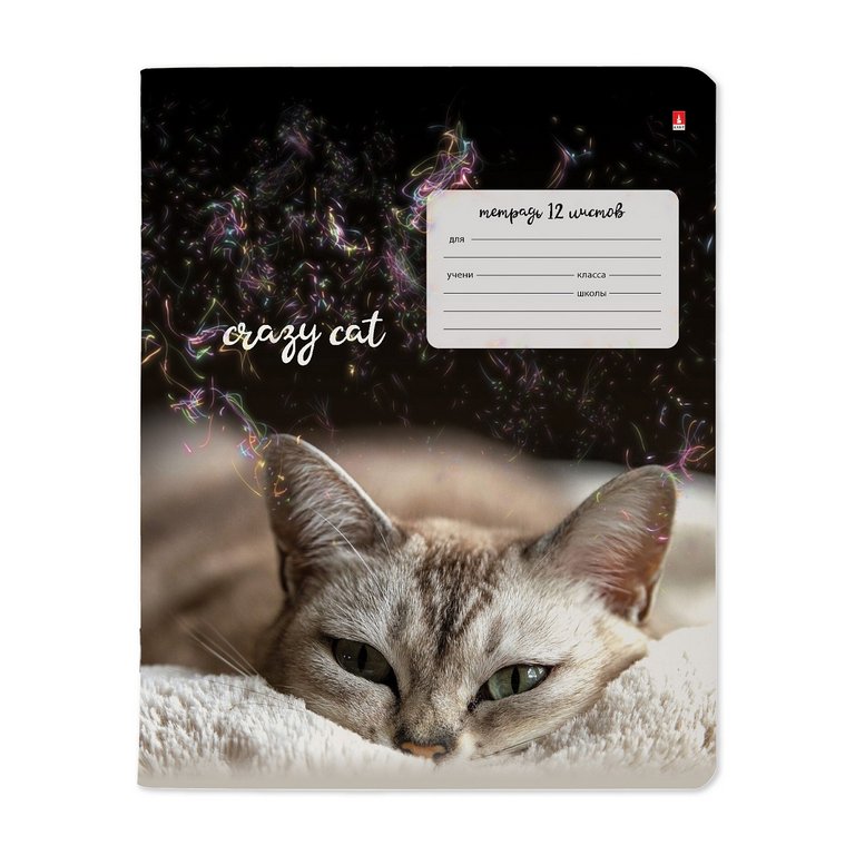 Тетрадь 12 лист лин. А5 "УДИВИТЕЛЬНЫЕ КОТЯТА"  5 ВИДОВ