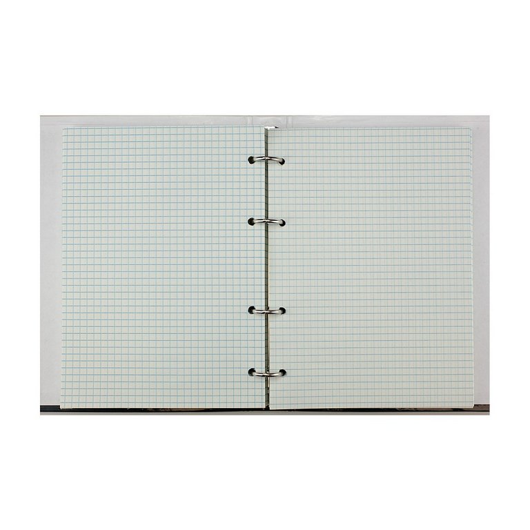 Тетрадь 160 лист кл. А5 на кольцах со сменным блоком "GINZA CATS"