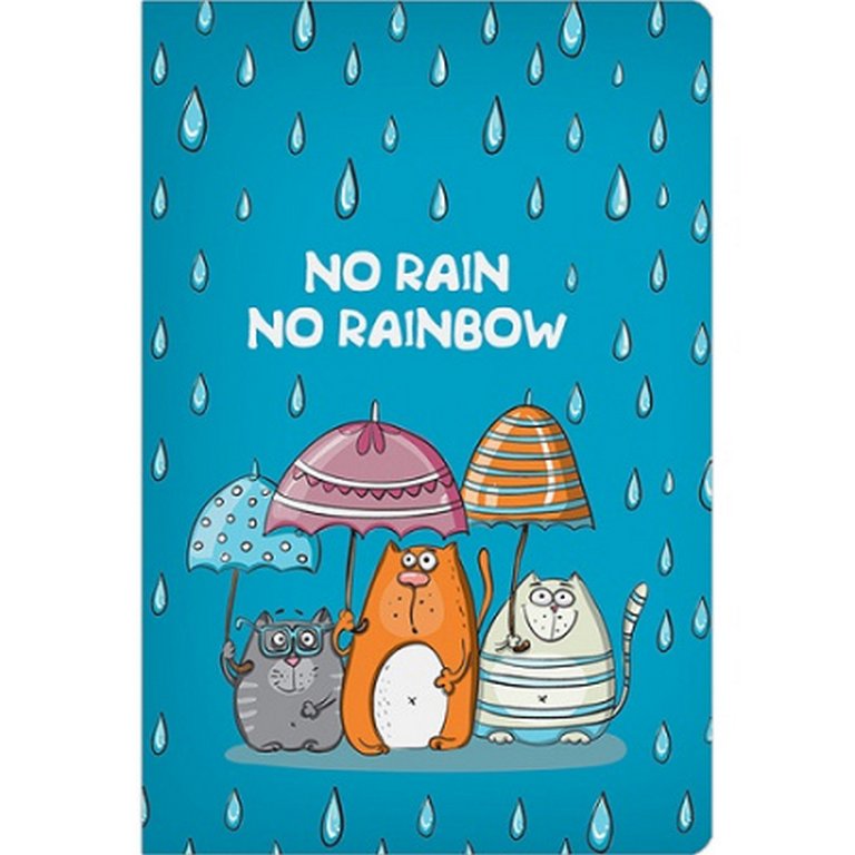 Блокнот А6  96л., 105*148 мм, твердая обложка "No rain no rainbow"