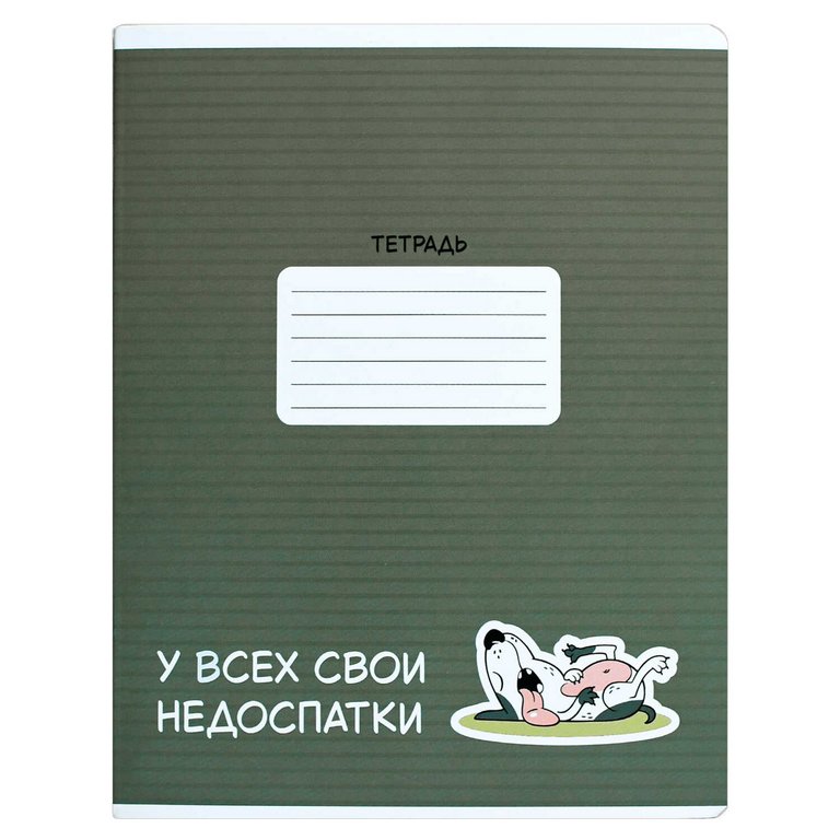 Тетрадь 18 лист лин. А5+ "Герои с характером" ассорти Феникс+