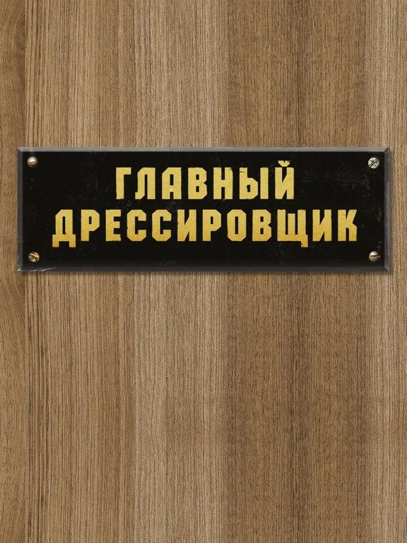 Табличка на дверь "Главный дрессировщик" Бюро находок
