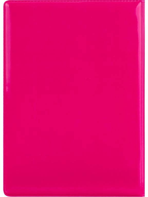 Обложка для паспорта MILAND "Гусь в очках" ПВХ