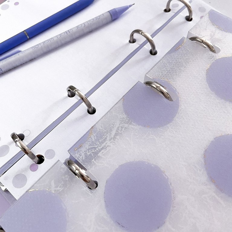 Тетрадь 80 лист кл. А5 на кольцах со сменным блоком "Горошек" пласт. обл. BrunoVisconti