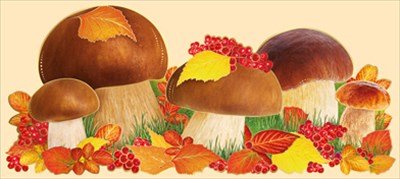 Плакат оформительский  осенний А4 "Белые грибы"