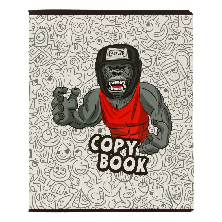 Тетрадь 48 лист кл. А5 на скрепке "НА РИНГЕ"