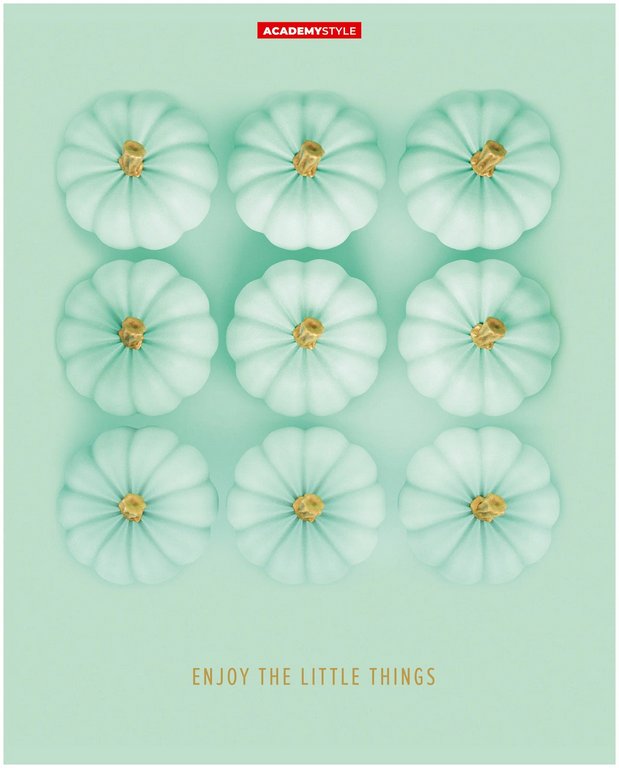 Тетрадь 48 лист кл. А5 на скрепке "Бархатные тыквы"