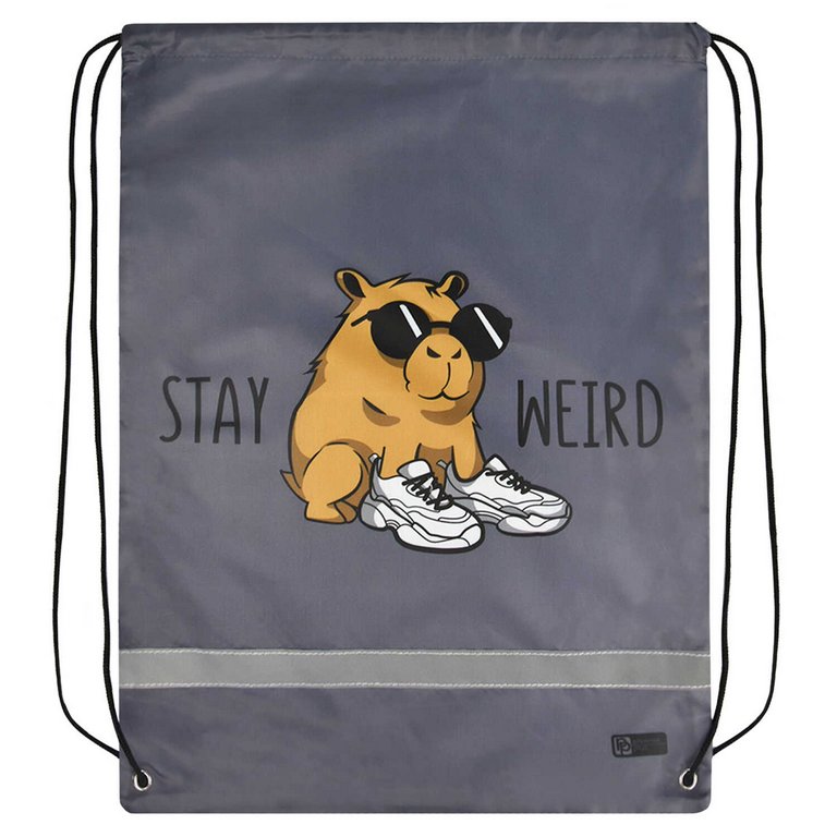 Сумка для обуви для мальчика 48*36 см Феникс+ "Чудная капибара"