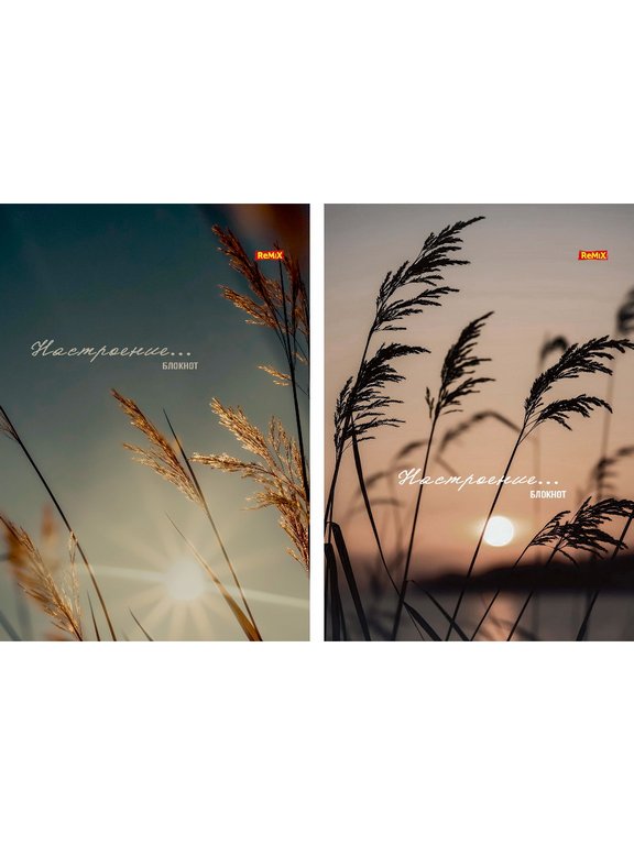 Блокнот А5  40л., 144*205 мм, на гребне Prof-Press "Настроение и природа" мягкая обл.