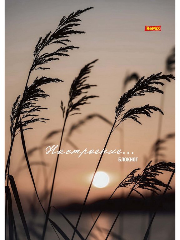 Блокнот А5  40л., 144*205 мм, на гребне Prof-Press "Настроение и природа" мягкая обл.