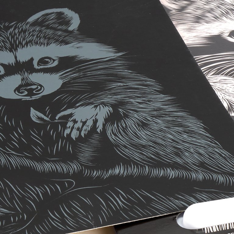 Гравюра А4 серебро "Пушистый енот" Lori