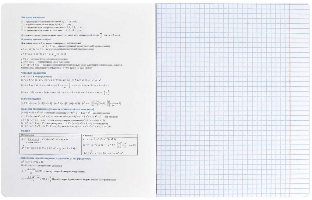 Тетрадь 48 лист кл. А5+ на скрепке, со справ. мат-ом "ФРАЗЫ С ХАРАКТЕРОМ. АЛГЕБРА"