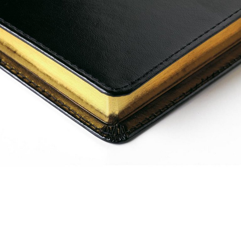 Ежедневник полудат. 148*210 мм Bruno Visconti "Profy", со сменным блоком, коричневый