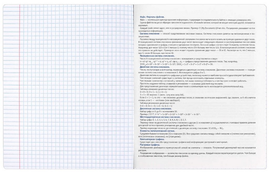 Тетрадь 48 лист кл. А5+ на скрепке, со справ. мат-ом "ФРАЗЫ С ХАРАКТЕРОМ. ИНФОРМАТИКА"