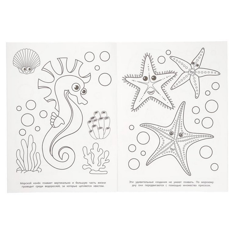 Раскраска А4 "Загадки моря" 16 стр. Умка