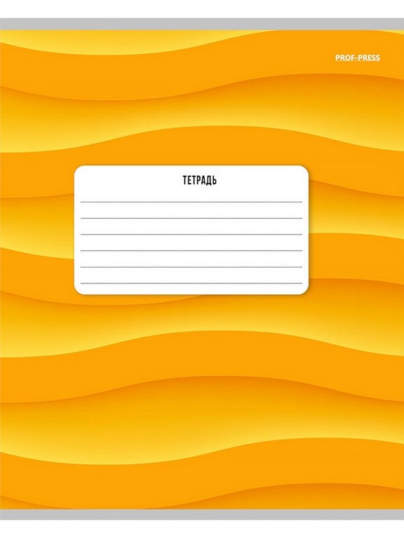 Тетрадь 18 лист кл. А5 "ЦВЕТНЫЕ АБСТРАКЦИИ" ассорти Prof-Press