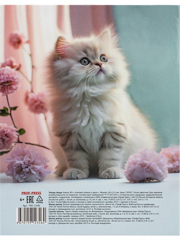 Тетрадь 80 лист кл. А5+ на кольцах "СВЕТЛЫЙ КОТЕНОК" тв. обл. Проф-Пресс