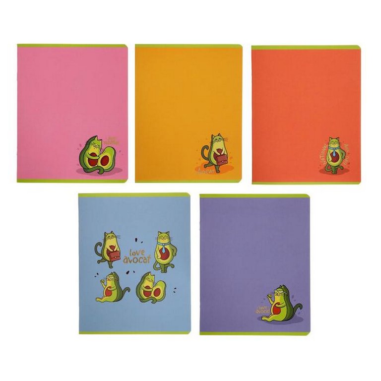 Тетрадь 48 лист кл. А5 на скрепке "Авокот"