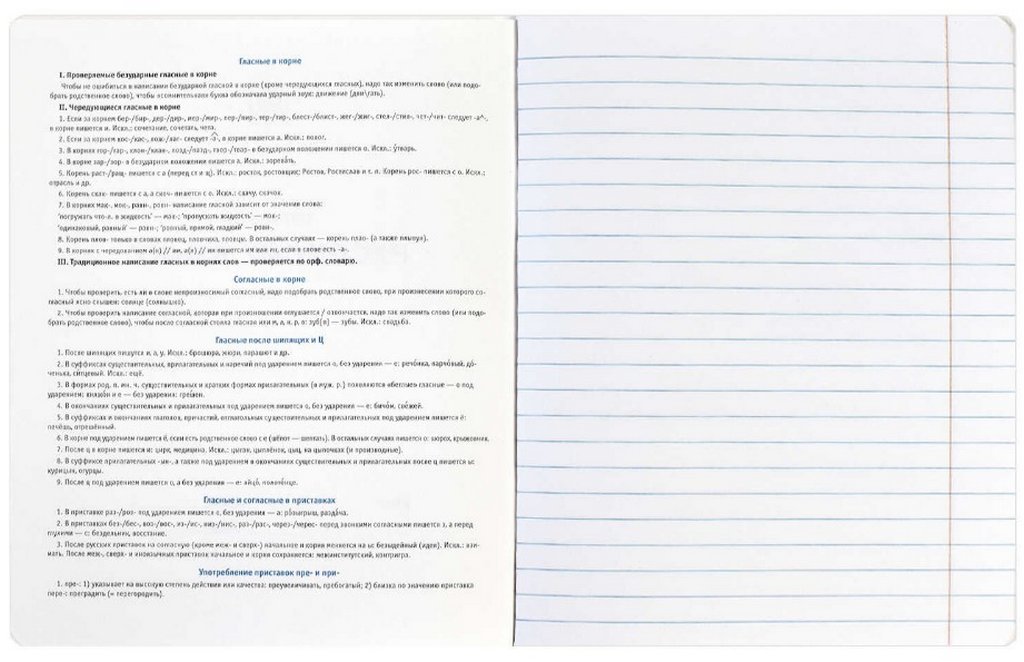 Тетрадь 48 лист лин. А5+ на скрепке, со справ. мат-ом "ФРАЗЫ С ХАРАКТЕРОМ. РУССКИЙ ЯЗЫК"